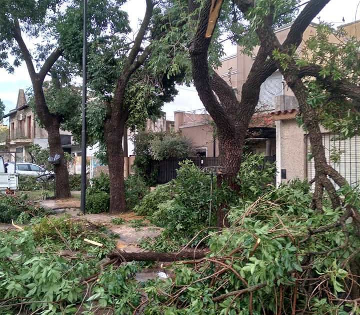CONFIRMAN QUE PASÓ UN TORNADO DE BAJA INTENSIDAD POR VENADO TUERTO