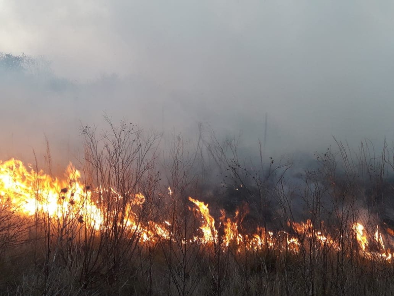 Incendio en campo cercano a Colonia Margarita.