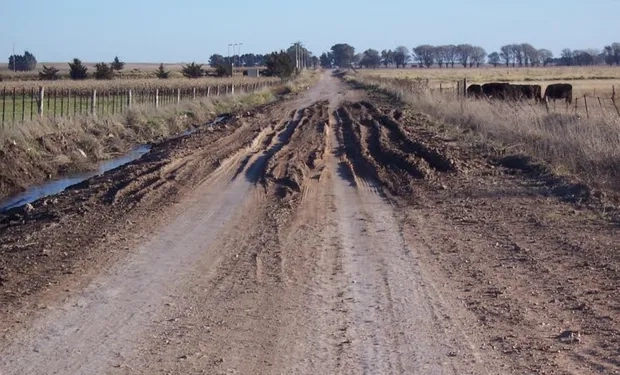 CAMINOS DE LA RURALIDAD EN LA COLONIA DE SAN VICENTE