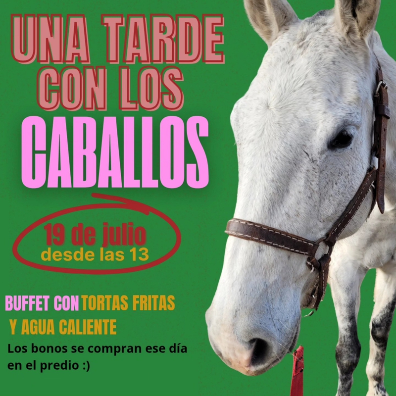 UNA TARDE CON LOS CABALLOS