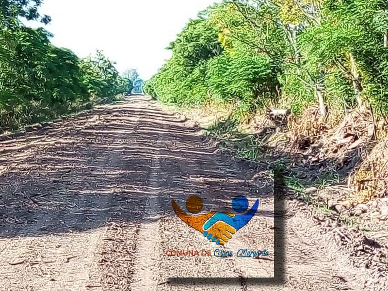 Colonia Margarita: Avance en mejoras de obras de caminos rurarles