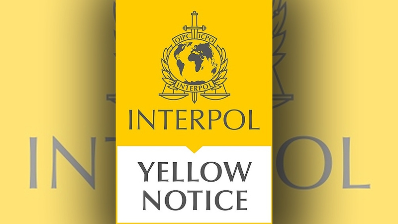 Interpol lanzó una alerta amarilla para reforzar la búsqueda de Guadalupe Lucero