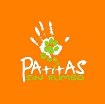 Patitas sin rumbo informa sobre las castraciones de diciembre.