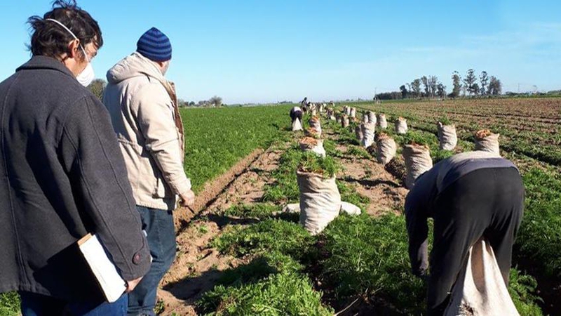 En el día del Trabajador Rural, charlamos con Hugo Perino, Secretario de UATRE Rafaela y Delegado de la Provincia.